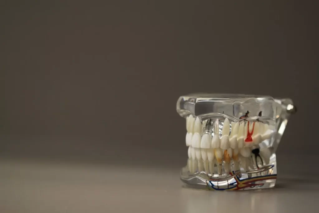 denture transparent