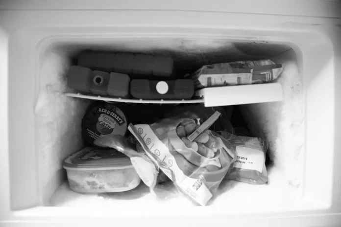 frozen food in the freezer